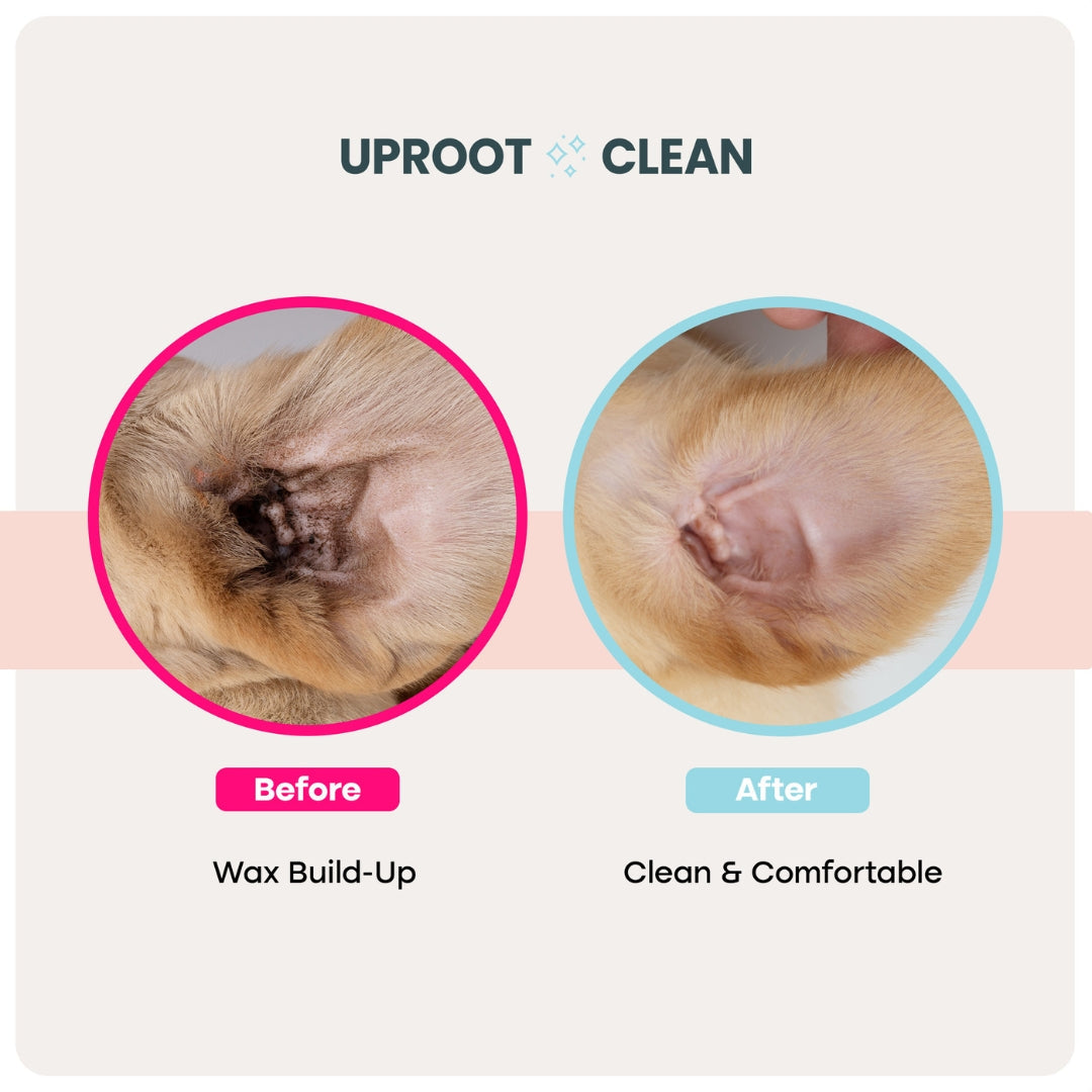 Pet Ear Cleaning Wipes product image 2