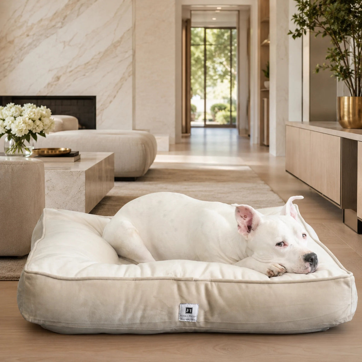 Orthopedic Dog Bed product image 2