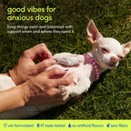 Dog Calming Chews product image 2