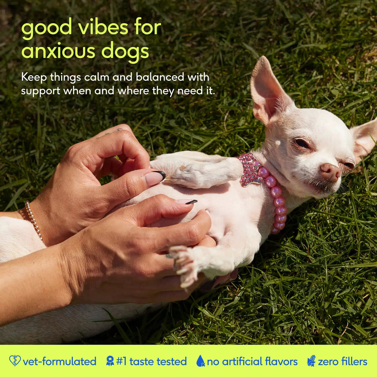 Dog Calming Chews product image 2