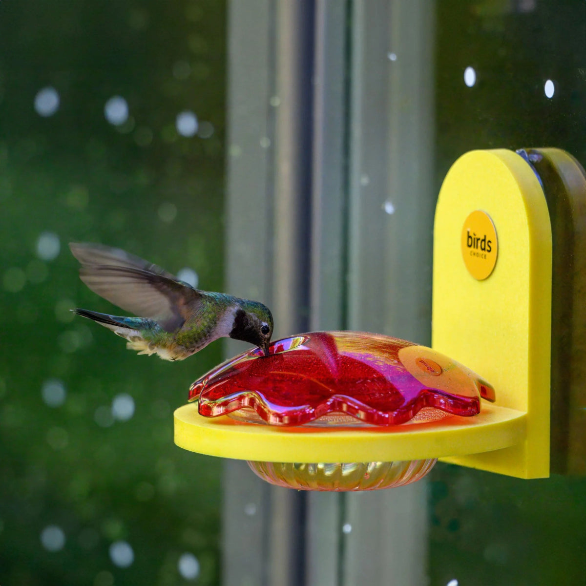 Window Hummingbird Feeder product image 2
