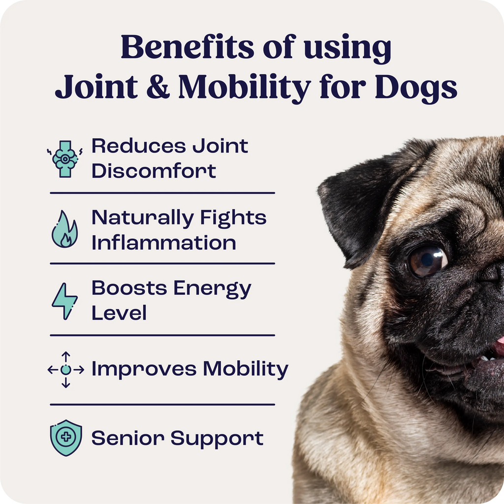Dog Joint Supplement product image 2