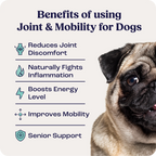 Dog Joint Supplement product image 2