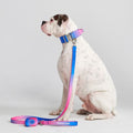 Tactical Dog Collar and Leash Set 2"/5cm / S