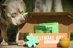 Dog Toy Box product image 2