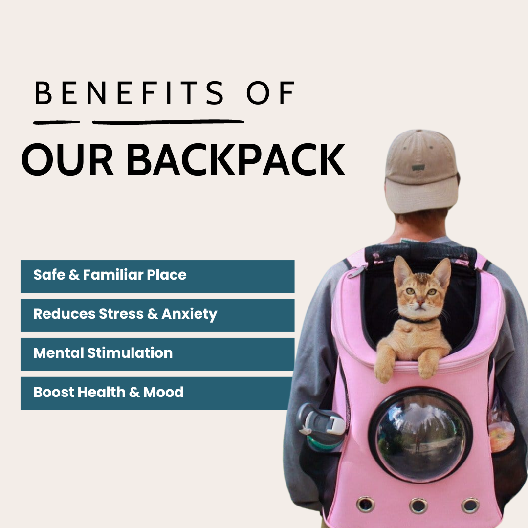 Large Pet Backpack Carrier product image 2