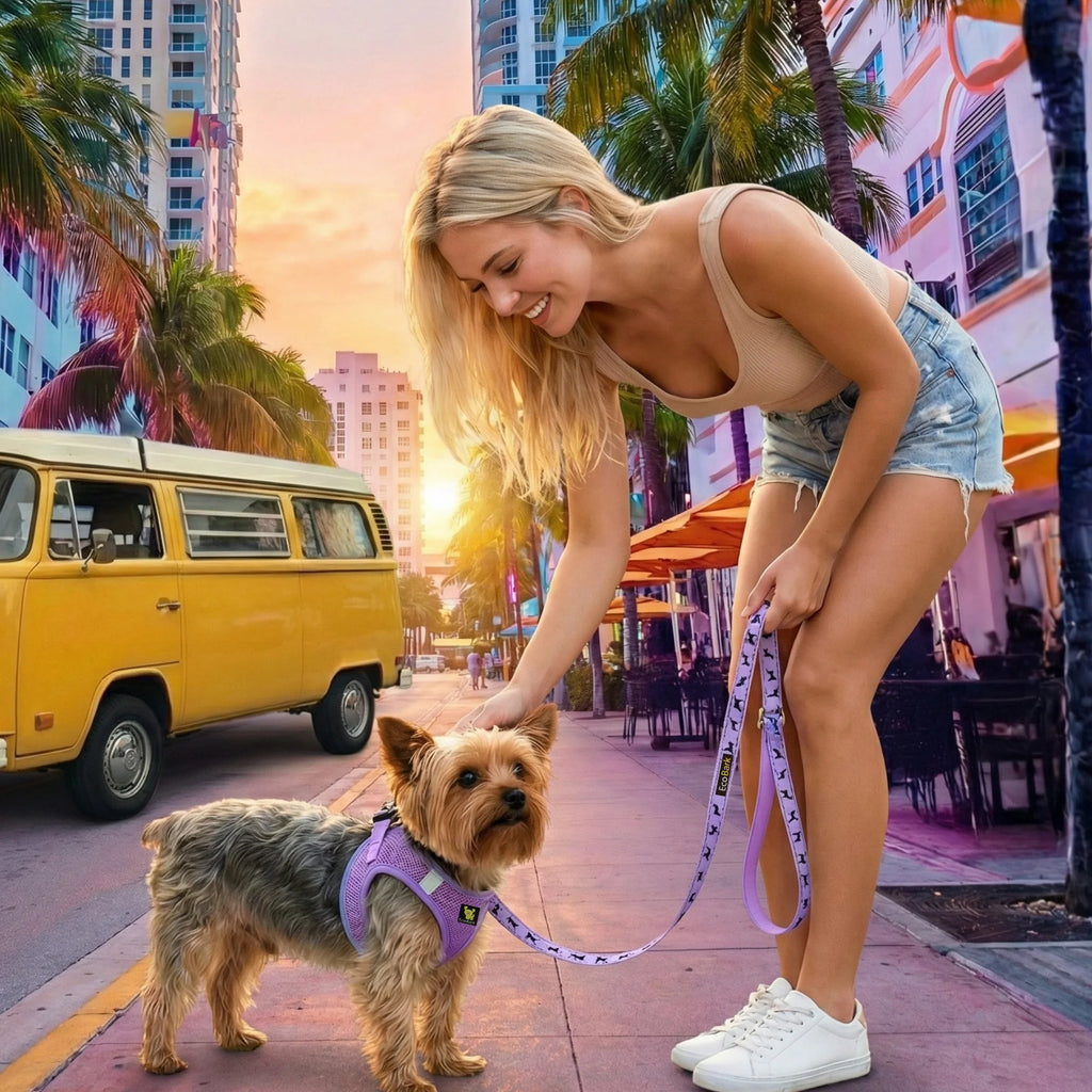 Step-In Dog Harness product image 2