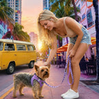 Step-In Dog Harness product image 2