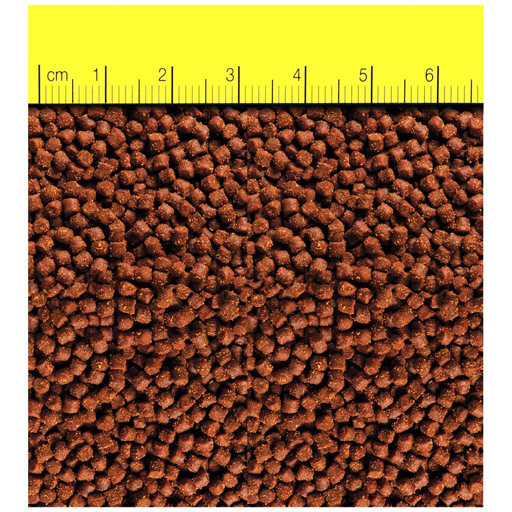 Fish Food product image 2