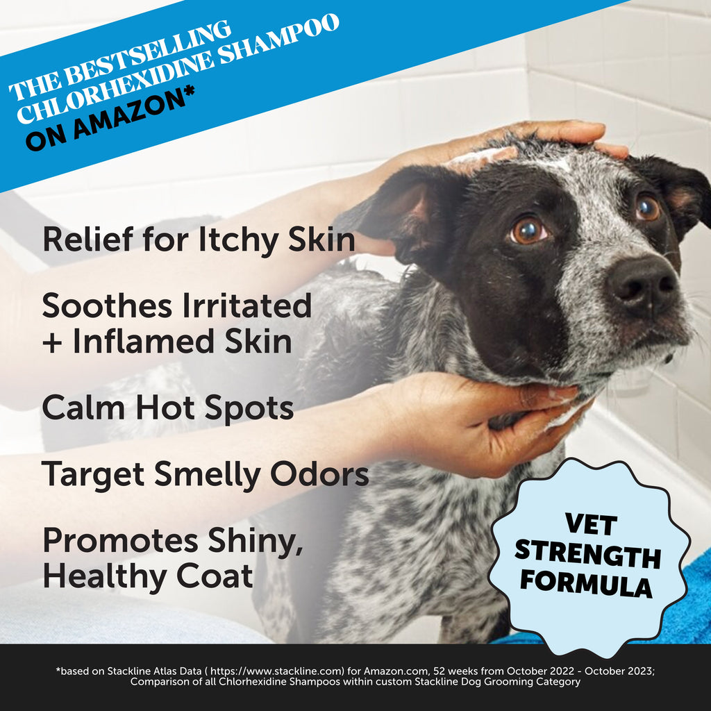 Chlorhexidine Pet Shampoo product image 2