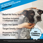 Chlorhexidine Pet Shampoo product image 2