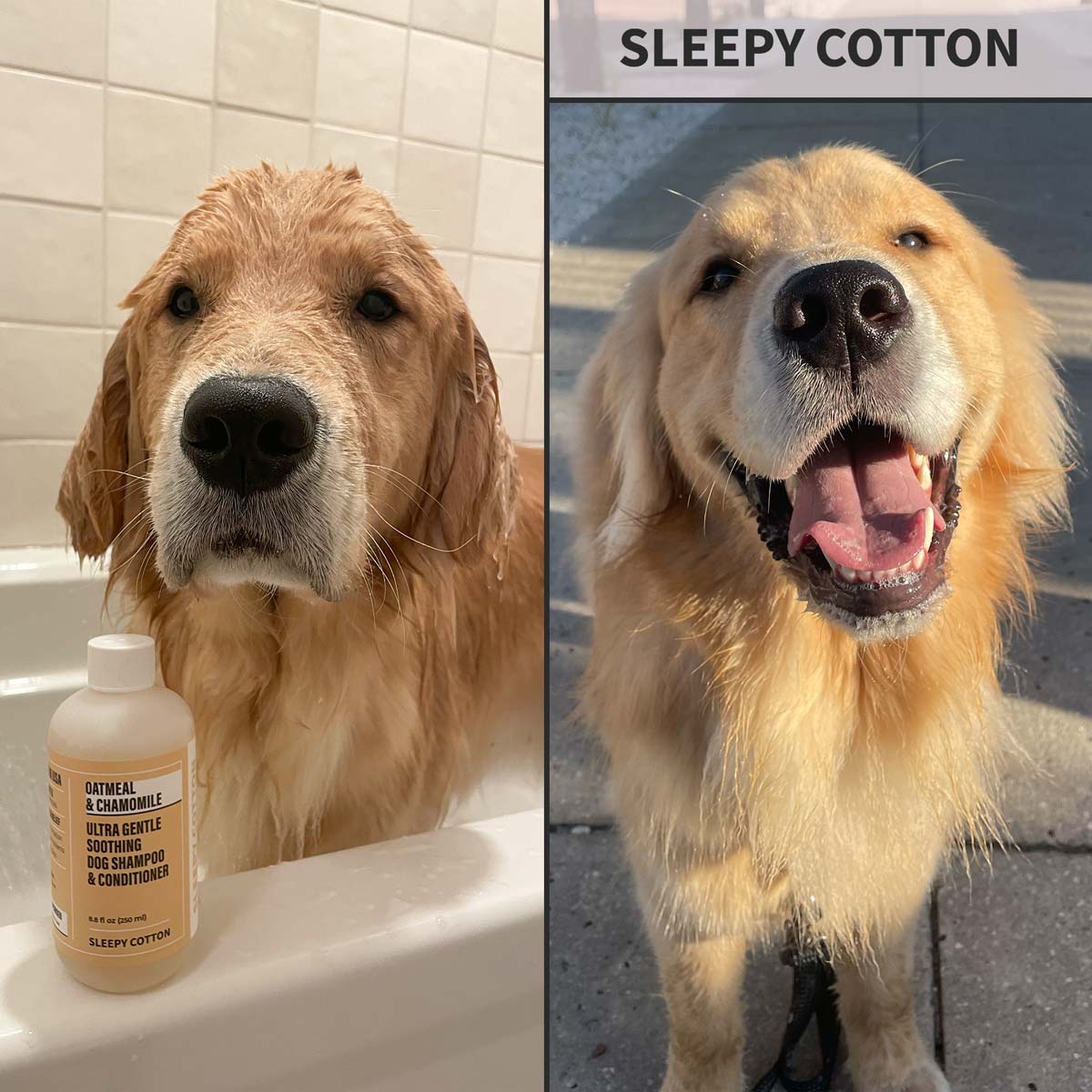 Soothing Oatmeal Dog Shampoo product image 2