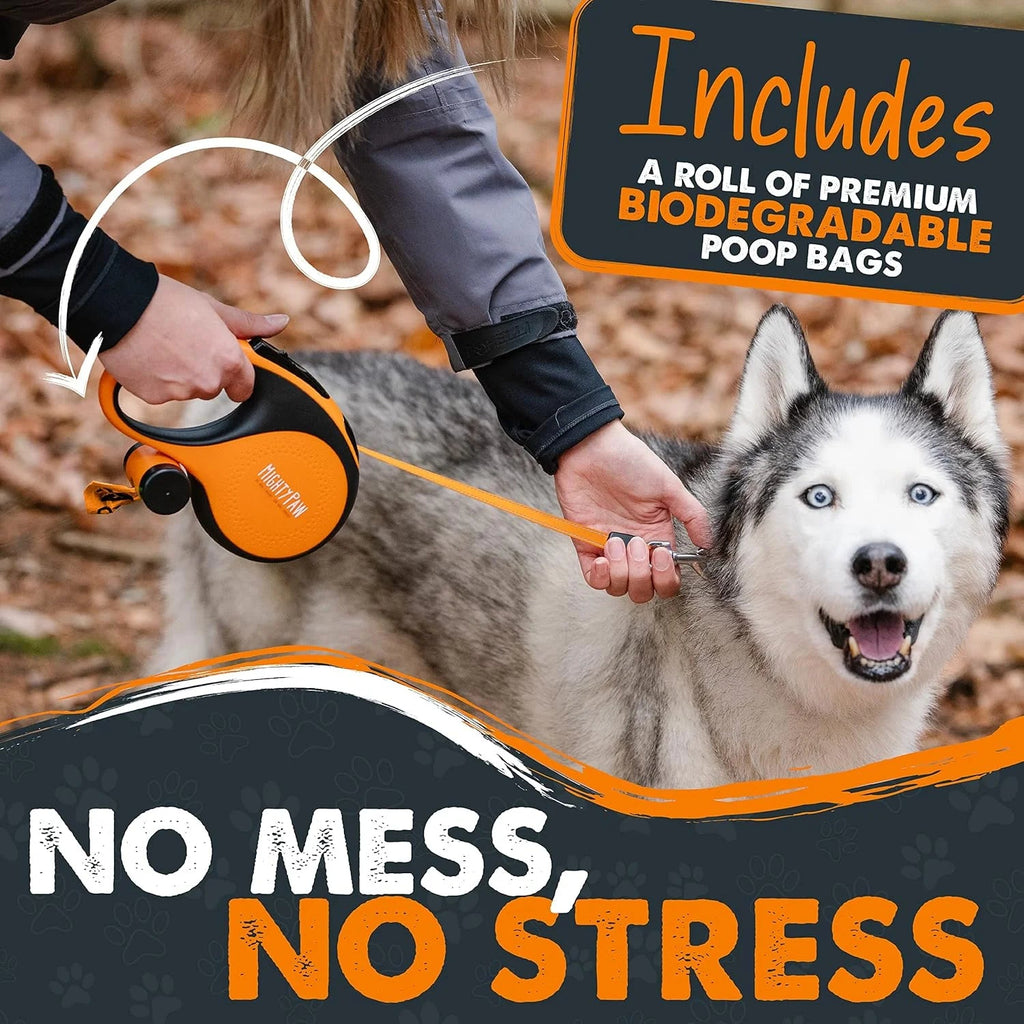 Retractable Dog Leash product image 2