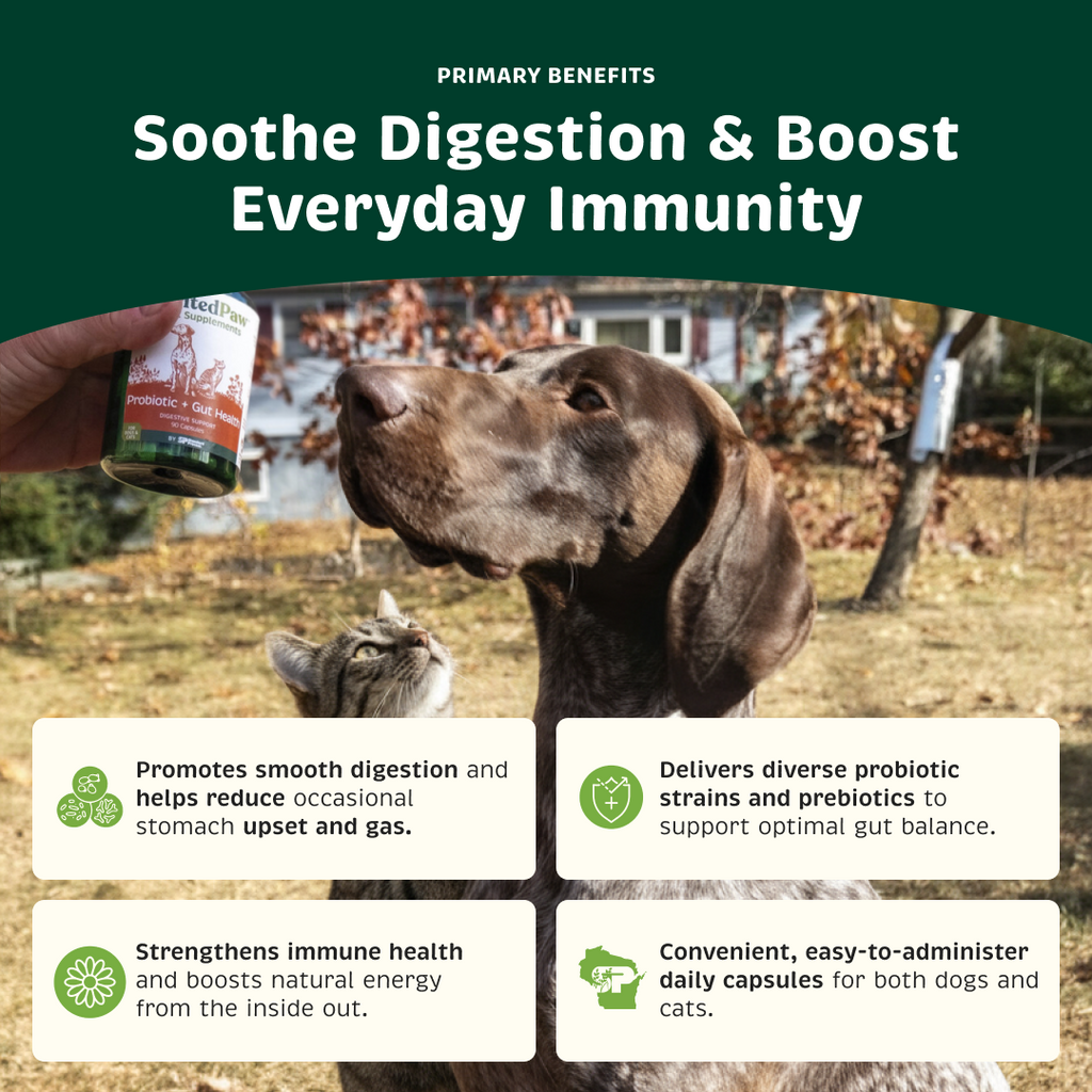 Pet Probiotic product image 2