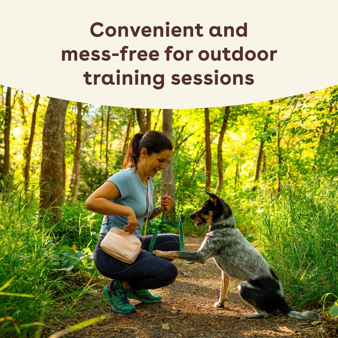 Dog Training Treats product image 2