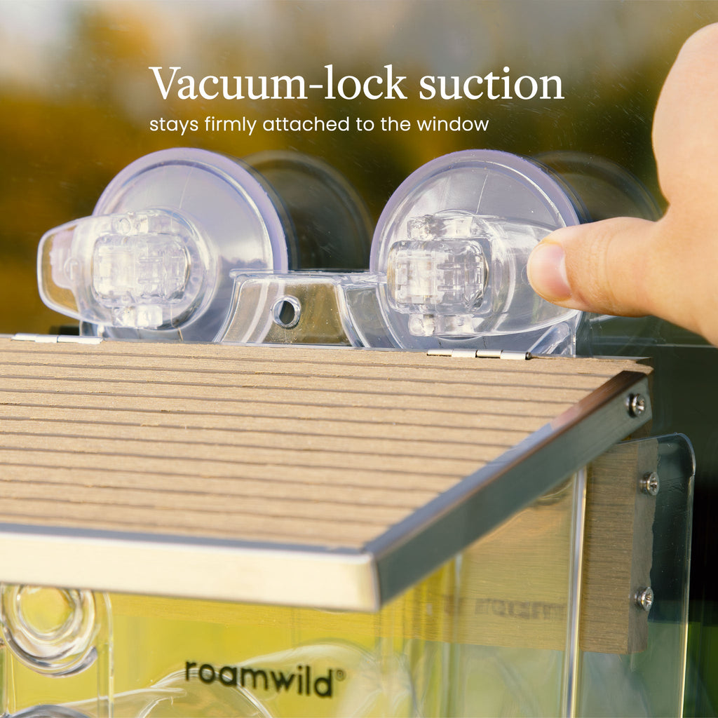 Window Bird Feeder product image 2
