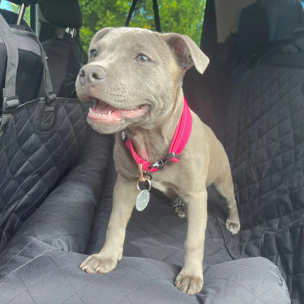 Dog Car Seat Cover product image 2
