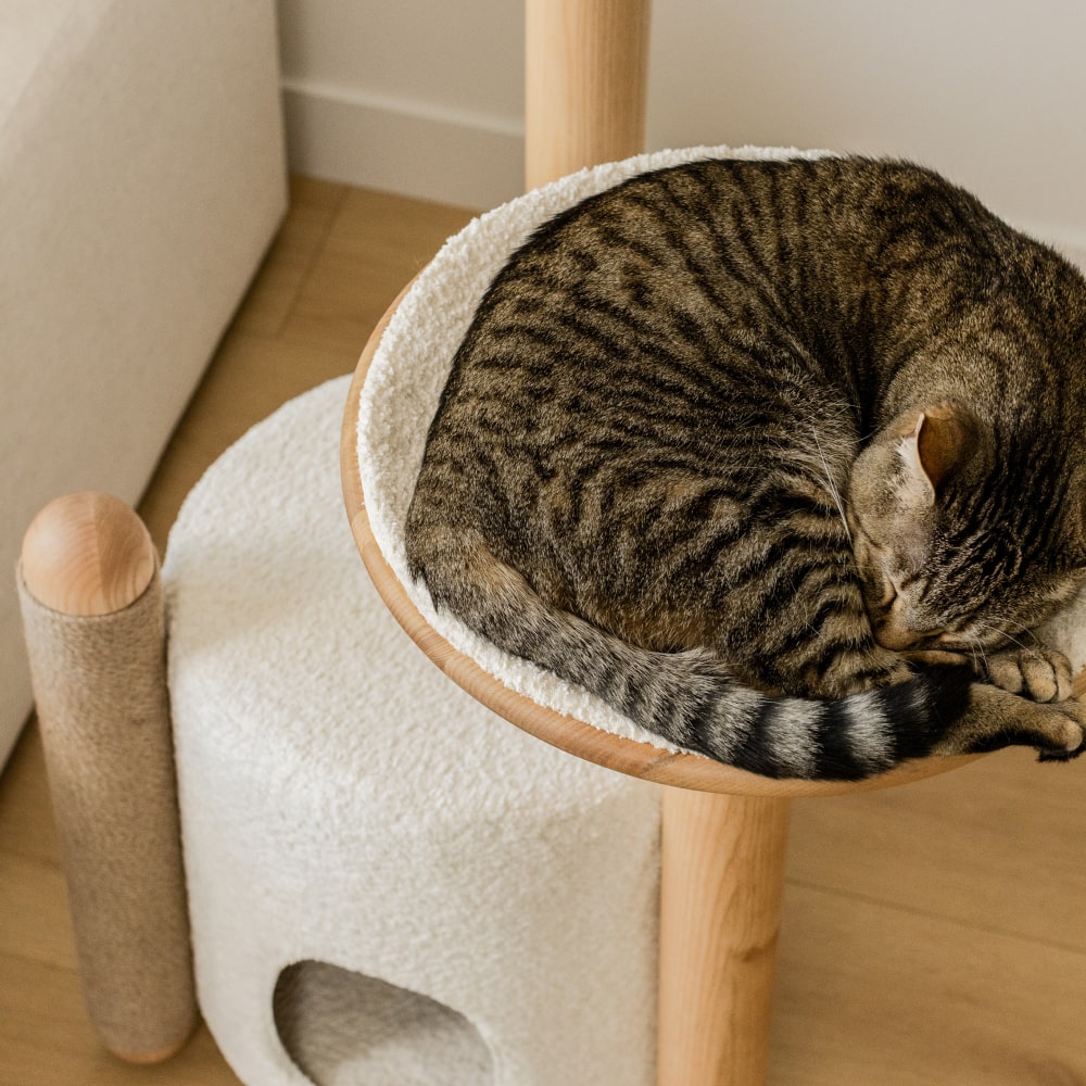 Cat Tree product image 2