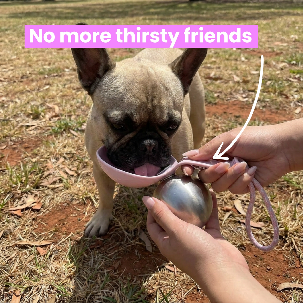 Dog Water Bottle product image 2