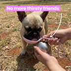 Dog Water Bottle product image 2