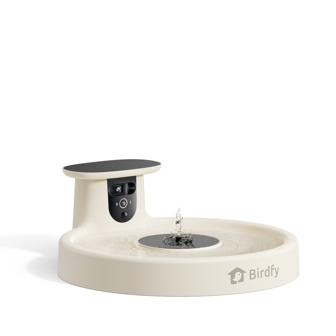 Solar Smart Bird Bath Camera product image 2