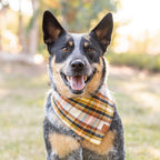 Dog Bandana product image 2