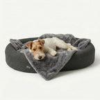 Memory Foam Dog Bed product image 2