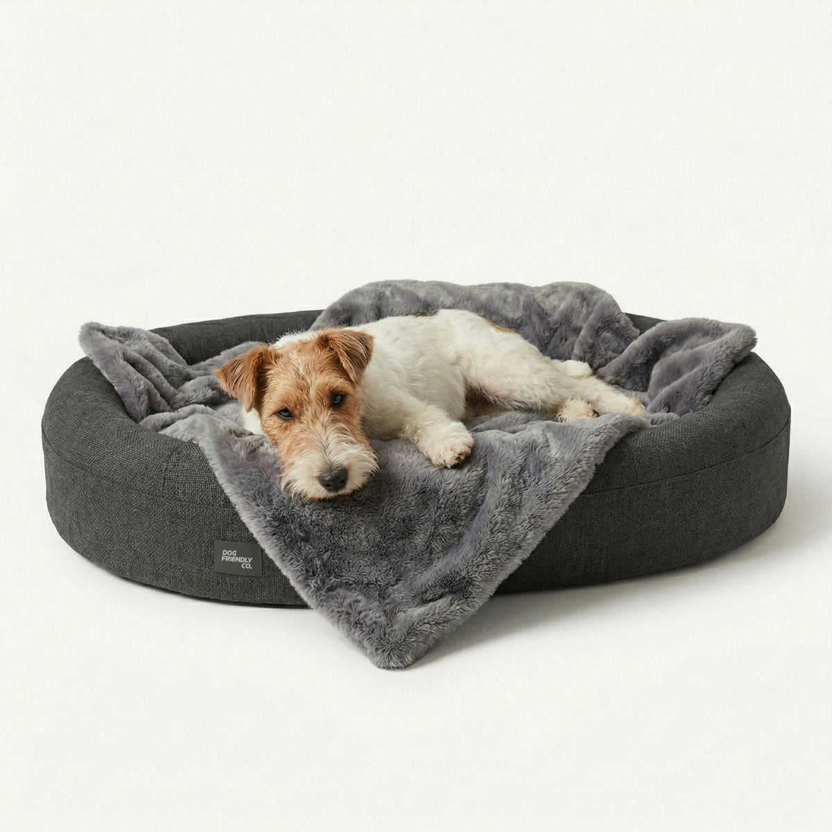 Memory Foam Dog Bed product image 2