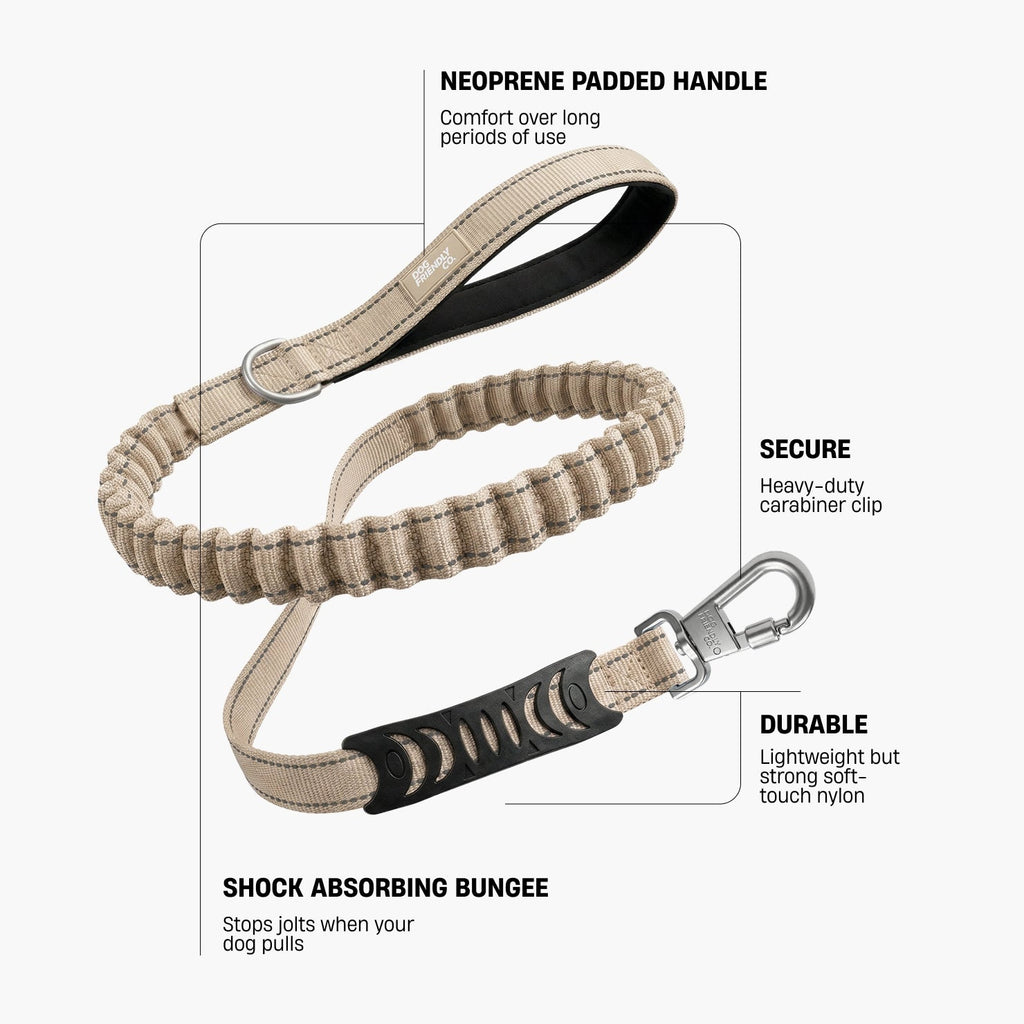 Bungee Dog Leash product image 2