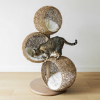 Three-Cave Rattan Cat Tree product image 2