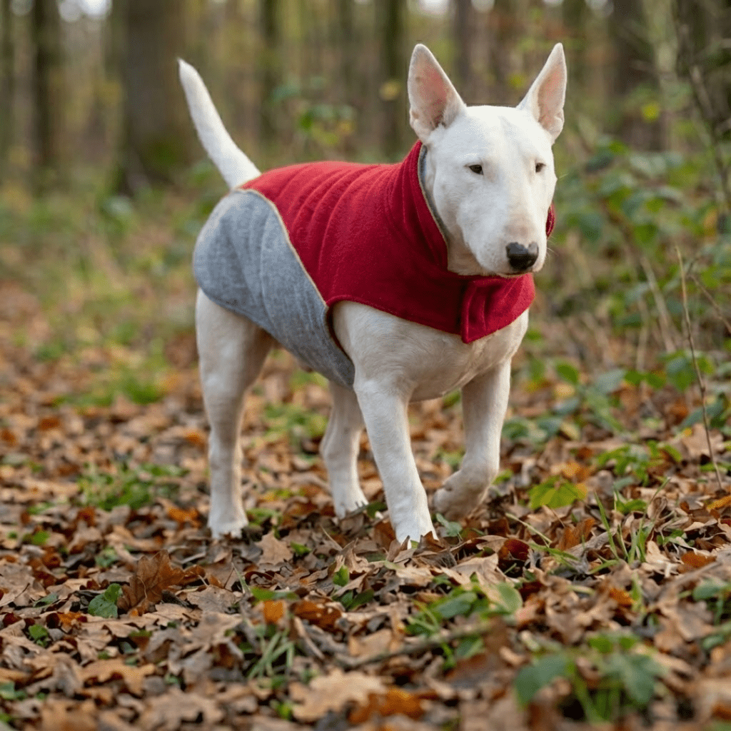Dog Safety Vest product image 2