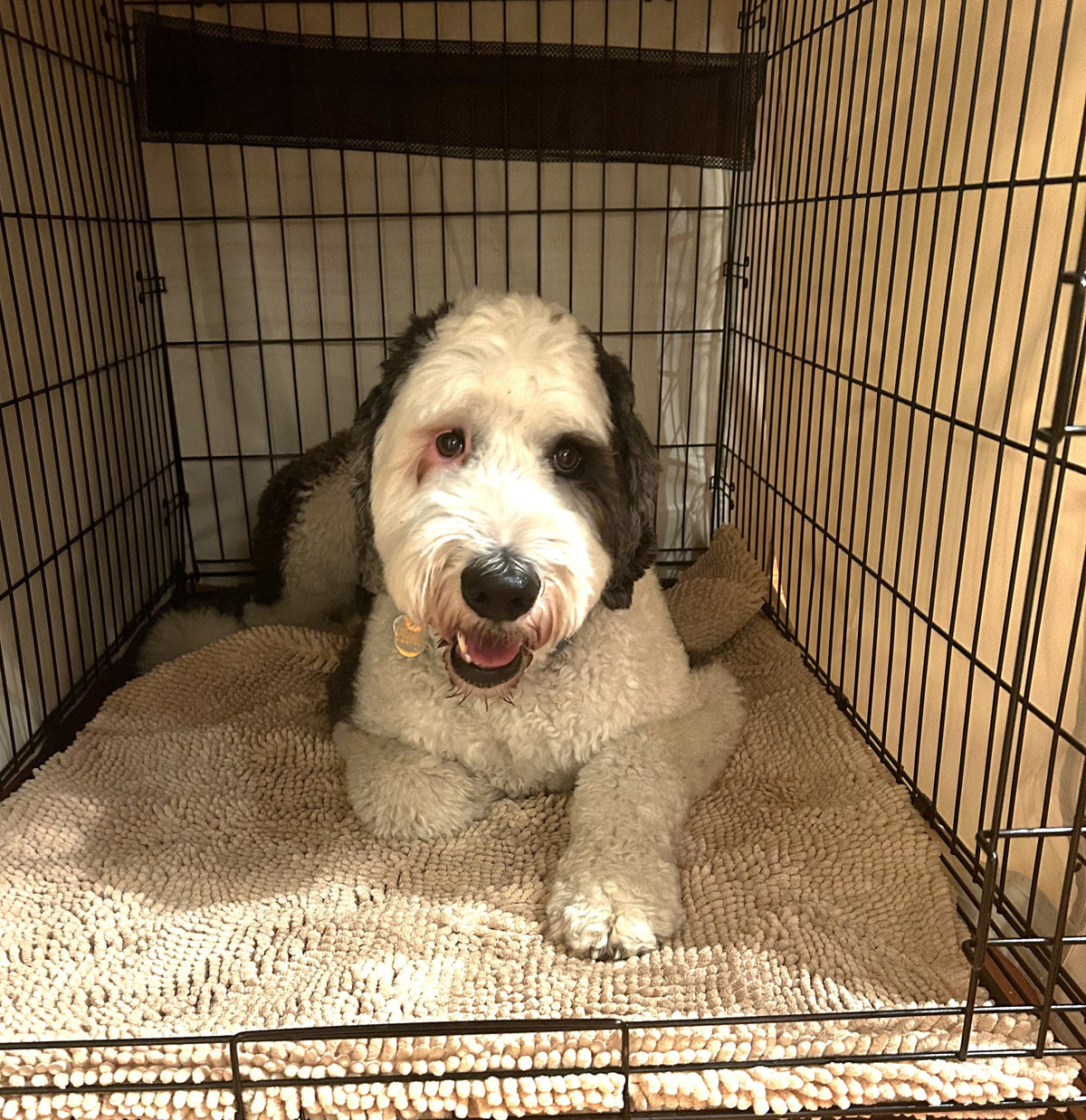 Dog Crate Pad product image 2