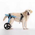 Dog Wheelchair product image 2