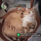 Handwoven Cat Bed product image 2