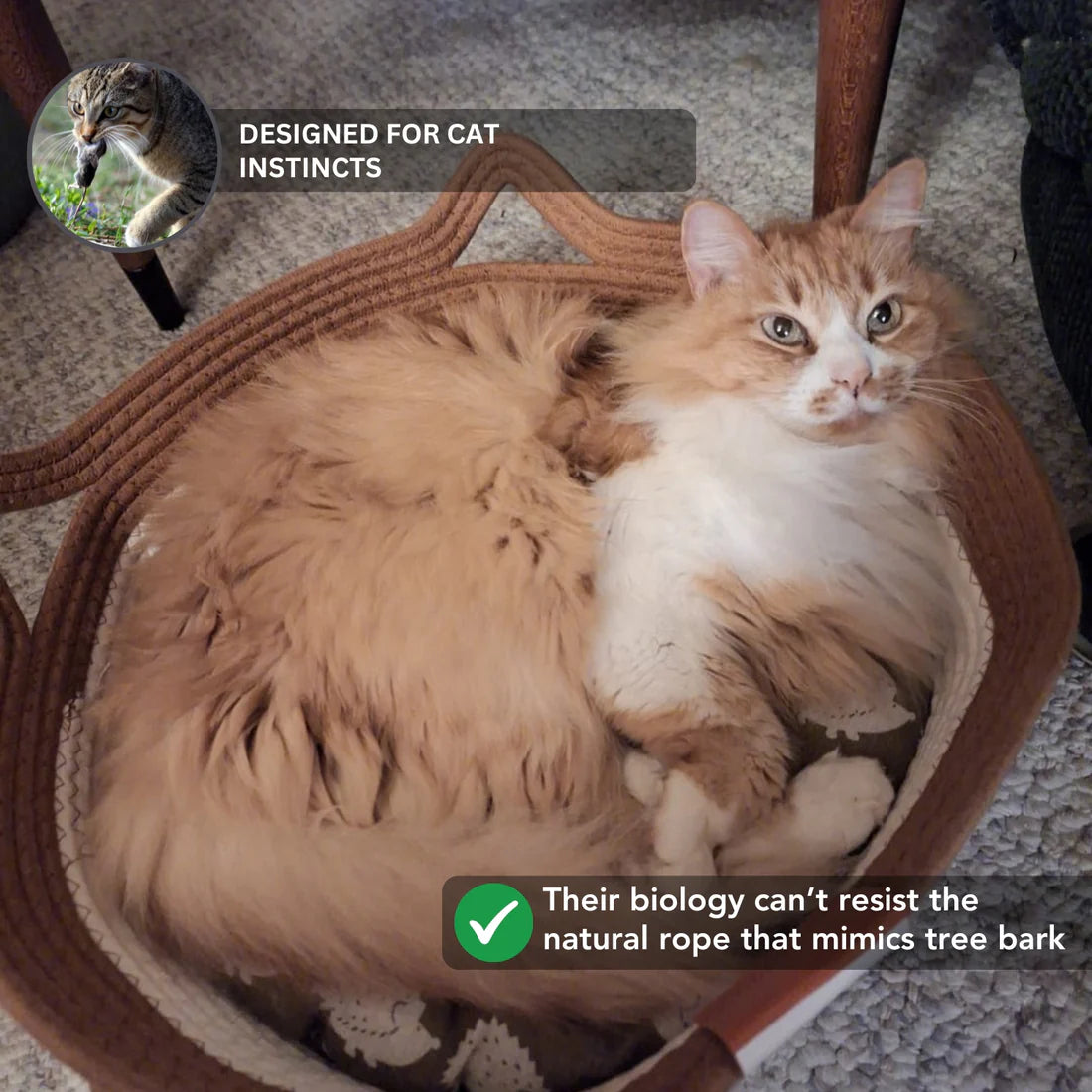 Handwoven Cat Bed product image 2