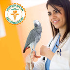 Parrot Food Sample Pack product image 2