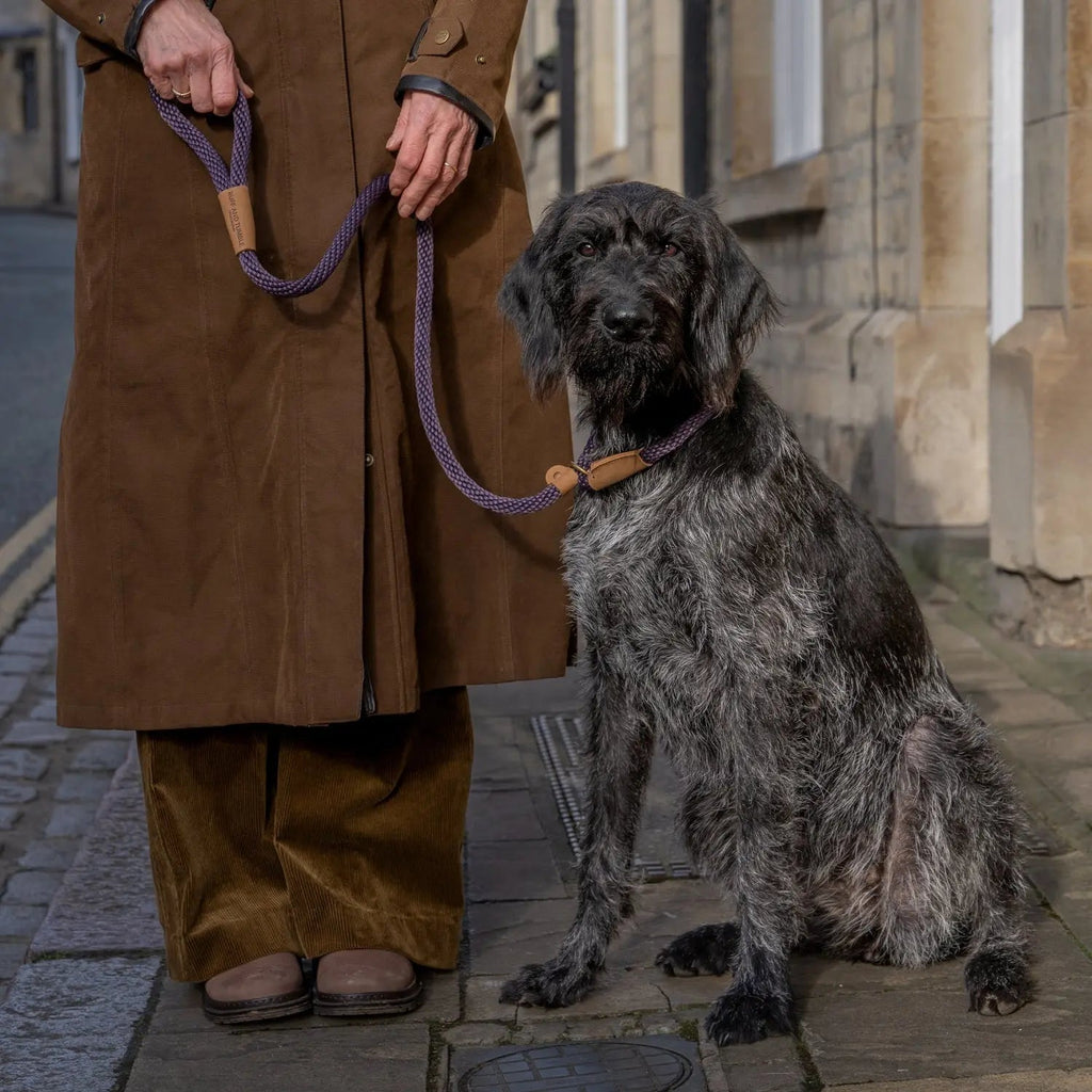 Dog Lead product image 2