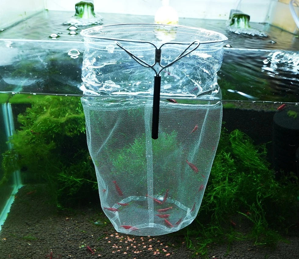 Shrimp Isolation Net product image 2