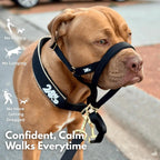 Dog Head Halter product image 2