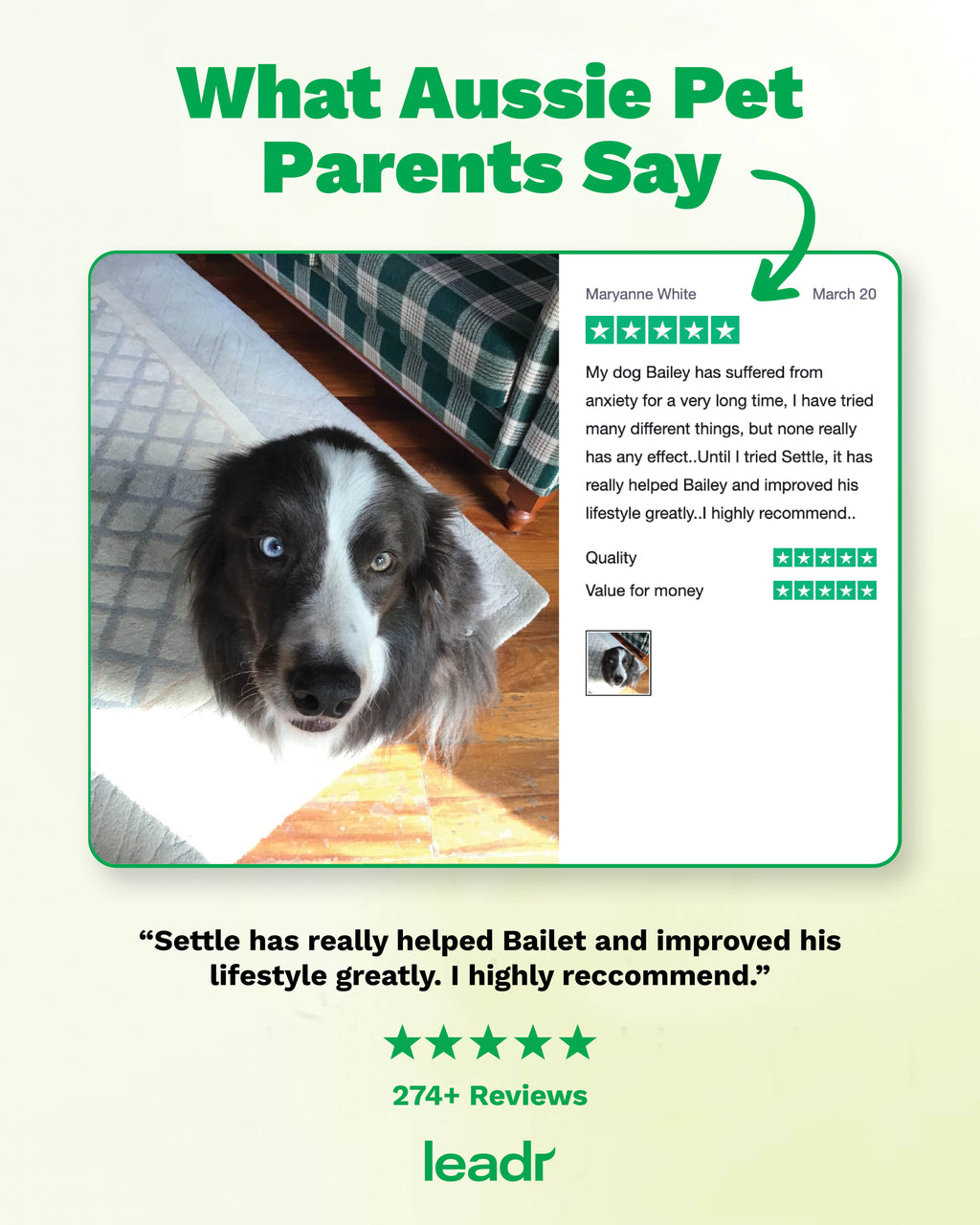 Dog Calming Soft Chews product image 2