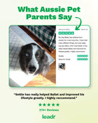 Dog Calming Soft Chews product image 2