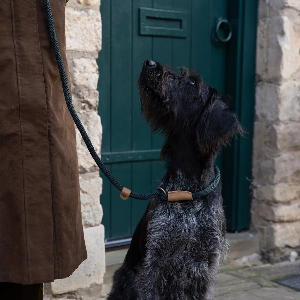 Dog Lead product image 2