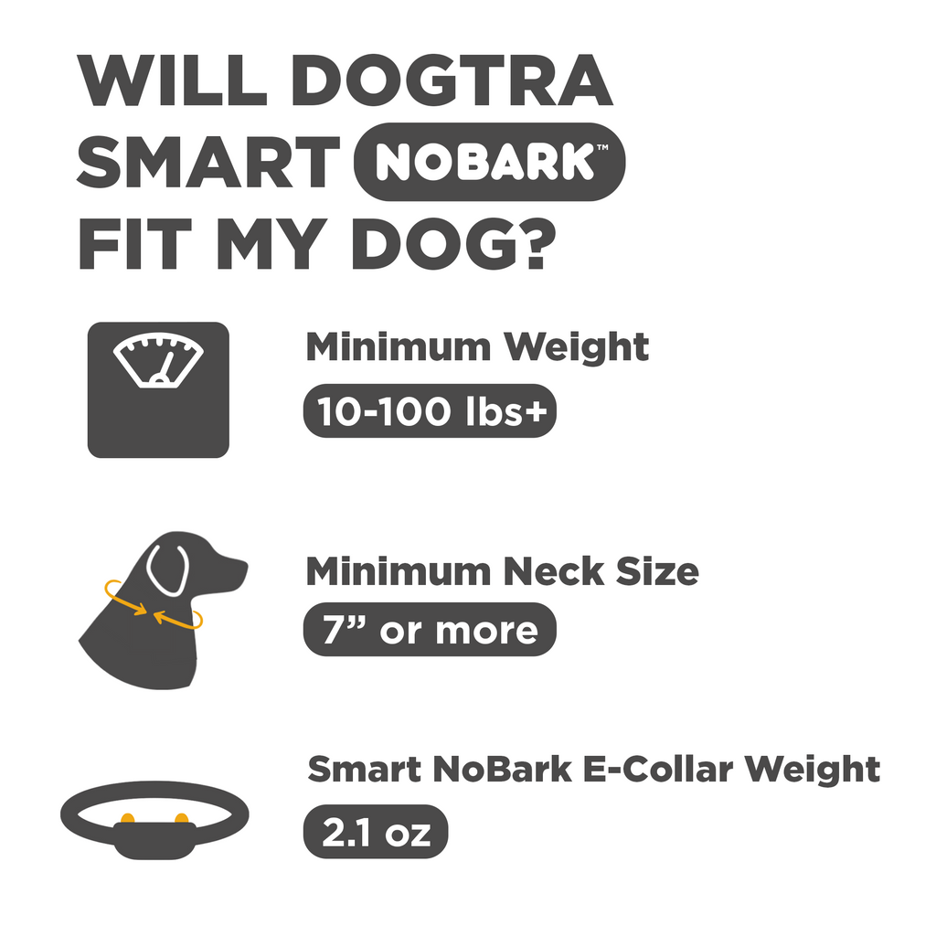 No-Bark Dog Collar product image 2