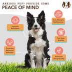 Calming Soft Chews for Dogs product image 2