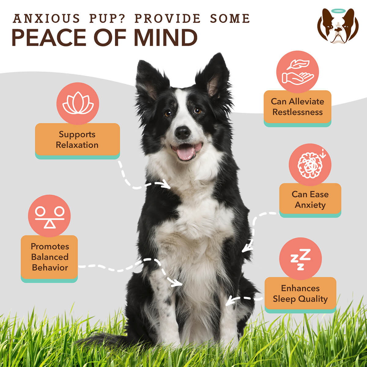 Calming Soft Chews for Dogs product image 2