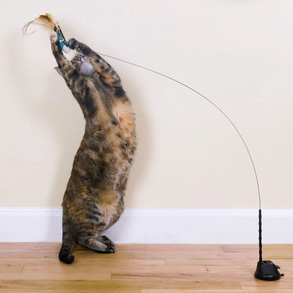 Cat Toy Attachments product image 2