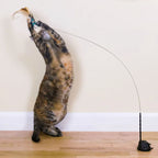 Cat Toy Attachments product image 2