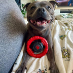 Dog Chew Toy product image 2