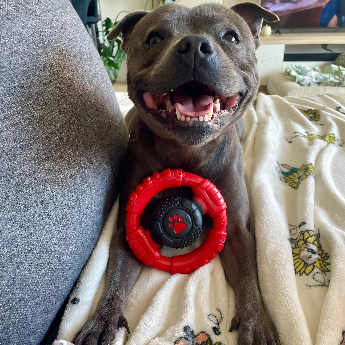 Dog Chew Toy product image 2
