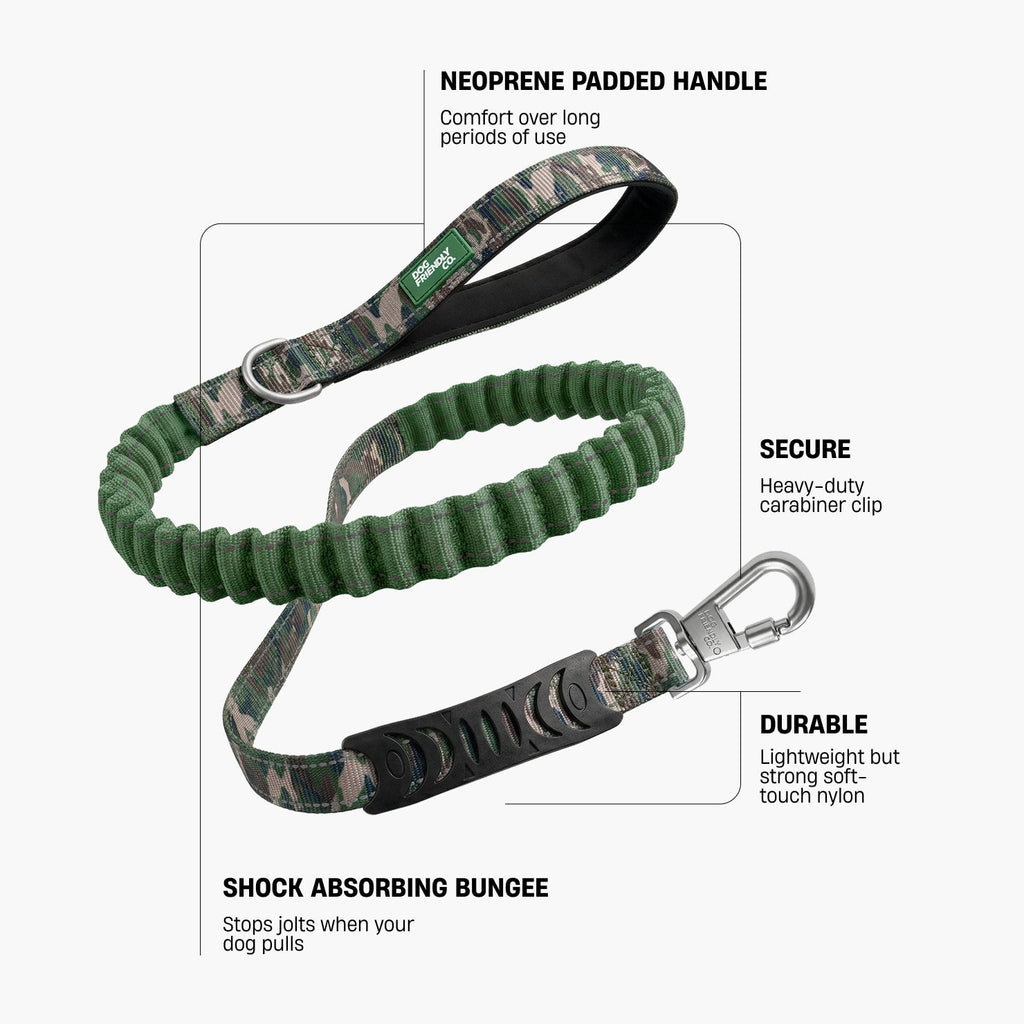 Bungee Dog Leash product image 2